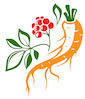 logo ž